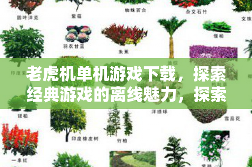 老虎机单机游戏下载,探索经典游戏的离线魅力,探索经典,老虎机单机游戏下载离线体验 老虎机单机游戏下载,探索经典游戏的离线魅力,探索经典,老虎机单机游戏下载离线体验
