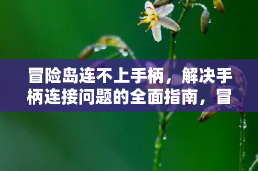冒险岛连不上手柄,解决手柄连接问题的全面指南,冒险岛手柄连接问题全面解决指南 冒险岛连不上手柄,解决手柄连接问题的全面指南,冒险岛手柄连接问题全面解决指南