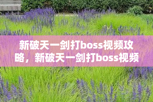 新破天一剑打boss视频攻略图片