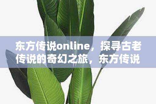 探寻古老传说的奇幻冒险之旅图片