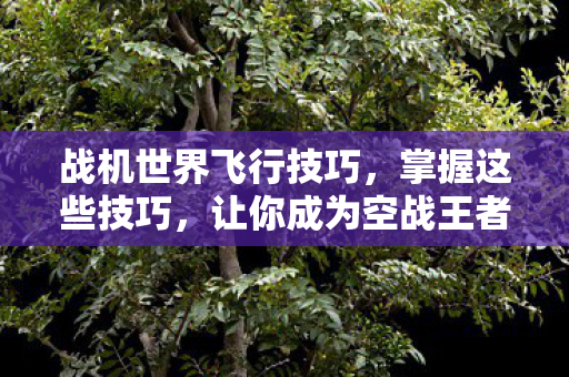 战机世界飞行技巧,掌握这些技巧,让你成为空战王者,掌握这些飞行技巧,成为空战王者 战机世界飞行技巧,掌握这些技巧,让你成为空战王者,掌握这些飞行技巧,成为空战王者