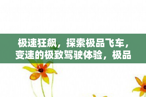 极速狂飙，探索极品飞车，变速的极致驾驶体验，极品飞车，变速的极致驾驶体验