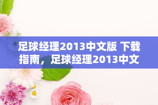 足球经理2013中文版 下载指南，足球经理2013中文版下载全攻略