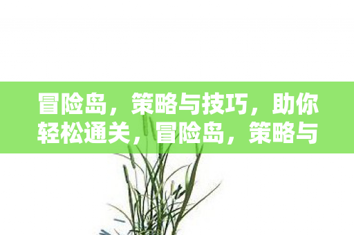 冒险岛,策略与技巧,助你轻松通关,冒险岛,策略与技巧助你轻松通关 冒险岛,策略与技巧,助你轻松通关,冒险岛,策略与技巧助你轻松通关