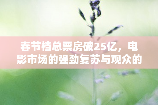 春节档总票房破25亿,电影市场的强劲复苏与观众的热情回归,春节档总票房破25亿,电影市场强劲复苏,观众热情回归 春节档总票房破25亿,电影市场的强劲复苏与观众的热情回归,春节档总票房破25亿,电影市场强劲复苏,观众热情回归