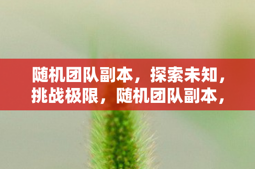随机团队副本,探索未知,挑战极限,随机团队副本,探索未知,挑战极限 随机团队副本,探索未知,挑战极限,随机团队副本,探索未知,挑战极限