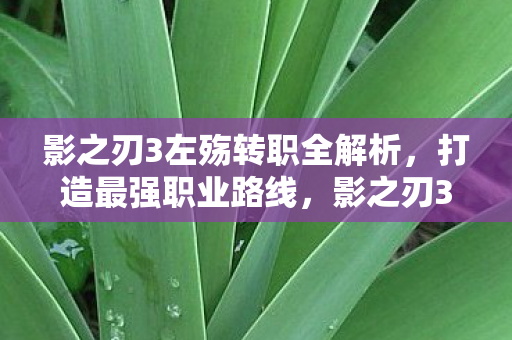 影之刃3左殇转职全解析,打造最强职业路线,影之刃3左殇转职全攻略,打造最强职业路线 影之刃3左殇转职全解析,打造最强职业路线,影之刃3左殇转职全攻略,打造最强职业路线