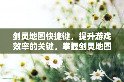 提升游戏效率不再是难题图片