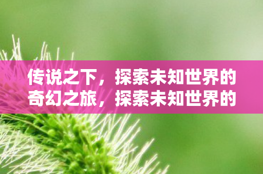 传说之下,探索未知世界的奇幻之旅,探索未知世界的奇幻之旅,传说之下 传说之下,探索未知世界的奇幻之旅,探索未知世界的奇幻之旅,传说之下