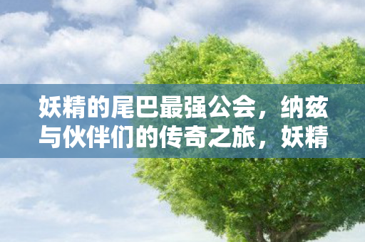 妖精的尾巴最强公会,纳兹与伙伴们的传奇之旅,妖精的尾巴,纳兹与伙伴们的传奇之旅 妖精的尾巴最强公会,纳兹与伙伴们的传奇之旅,妖精的尾巴,纳兹与伙伴们的传奇之旅