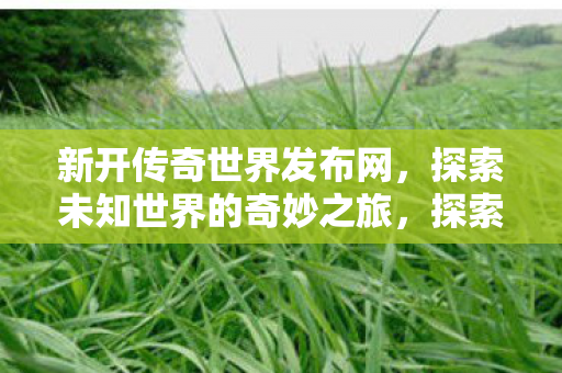 探索未知世界的奇妙之旅图片