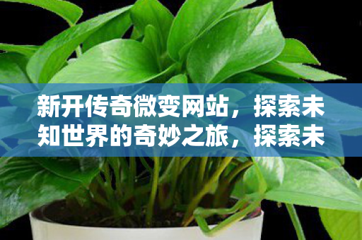 探索未知世界的奇妙之旅图片