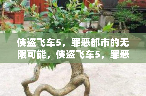 侠盗飞车5，罪恶都市的无限可能，侠盗飞车5，罪恶都市的无限可能