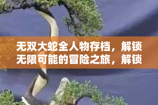 无双大蛇全人物存档，解锁无限可能的冒险之旅，解锁无限冒险，无双大蛇全人物存档