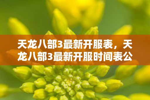 天龙八部3最新开服表,天龙八部3最新开服时间表公布 天龙八部3最新开服表,天龙八部3最新开服时间表公布