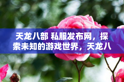 天龙八部 私服发布网图片