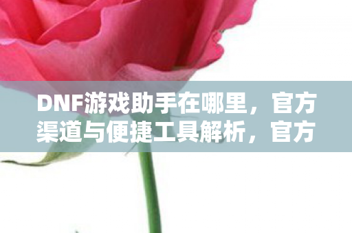 官方渠道与便捷工具解析图片