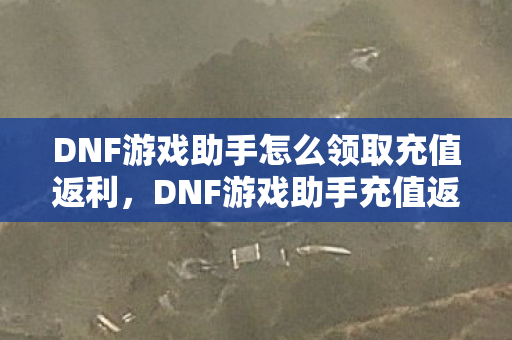 DNF游戏助手怎么领取充值返利图片