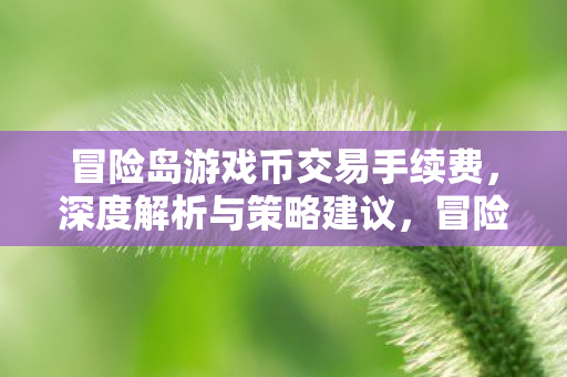 冒险岛游戏币交易手续费全解析图片