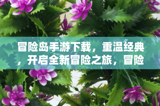 开启全新冒险之旅图片