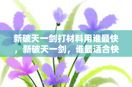 新破天一剑打材料用谁最快,新破天一剑,谁最适合快速打材料? 新破天一剑打材料用谁最快,新破天一剑,谁最适合快速打材料?