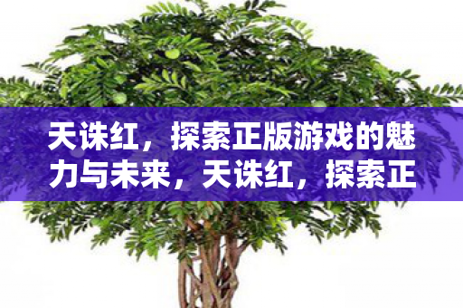 天诛红,探索正版游戏的魅力与未来,天诛红,探索正版游戏的魅力与未来 天诛红,探索正版游戏的魅力与未来,天诛红,探索正版游戏的魅力与未来