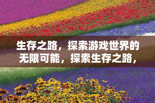 生存之路,探索游戏世界的无限可能,探索生存之路,解锁游戏世界的无限可能 生存之路,探索游戏世界的无限可能,探索生存之路,解锁游戏世界的无限可能