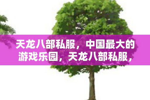 天龙八部私服,中国最大的游戏乐园,天龙八部私服,中国最大的游戏乐园揭秘 天龙八部私服,中国最大的游戏乐园,天龙八部私服,中国最大的游戏乐园揭秘