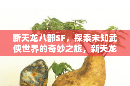 新天龙八部SF,探索未知武侠世界的奇妙之旅,新天龙八部SF,探索未知武侠世界的奇妙之旅 新天龙八部SF,探索未知武侠世界的奇妙之旅,新天龙八部SF,探索未知武侠世界的奇妙之旅