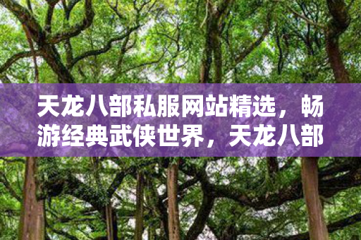 天龙八部私服网站精选图片