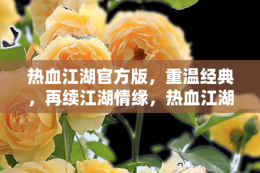 热血江湖官方版图片
