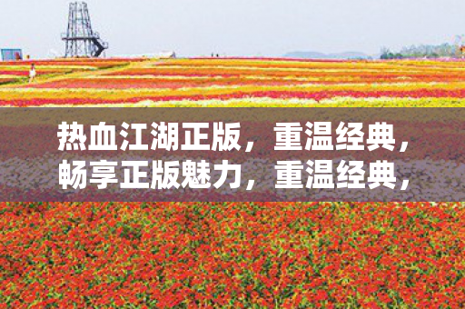 畅享热血江湖正版魅力图片
