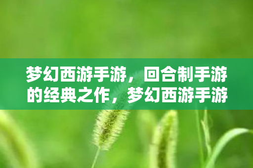 梦幻西游手游,回合制手游的经典之作,梦幻西游手游,回合制手游的经典之作 梦幻西游手游,回合制手游的经典之作,梦幻西游手游,回合制手游的经典之作