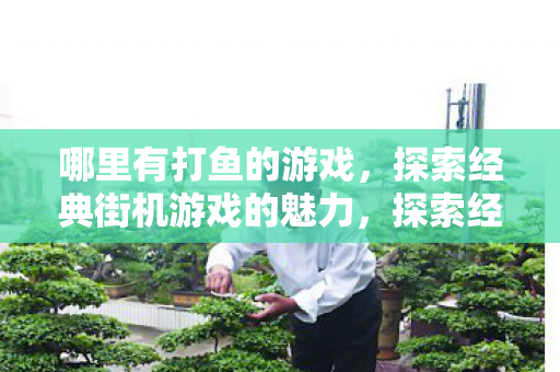 哪里有打鱼的游戏，探索经典街机游戏的魅力，探索经典街机游戏，打鱼游戏的魅力