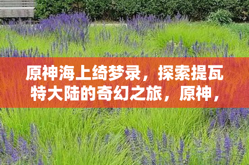 原神海上绮梦录，探索提瓦特大陆的奇幻之旅，原神，提瓦特大陆的奇幻之旅