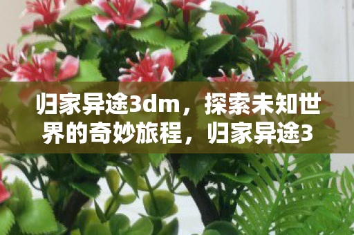 归家异途3dm，探索未知世界的奇妙旅程，归家异途3DM，探索未知世界的奇妙旅程