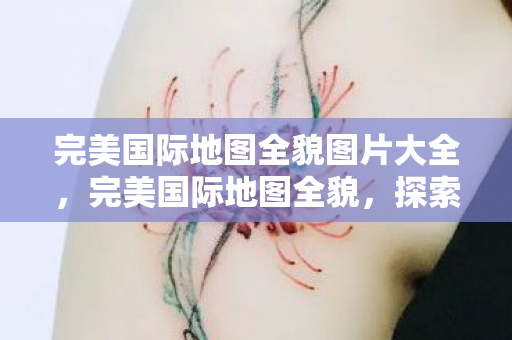 完美国际地图全貌图片大全图片