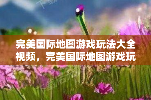 完美国际地图游戏玩法大全视频图片