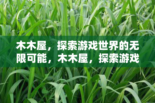 木木屋，探索游戏世界的无限可能，木木屋，探索游戏世界的无限可能
