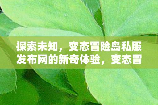 变态冒险岛私服发布网的新奇体验图片