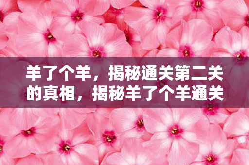 羊了个羊，揭秘通关第二关的真相，揭秘羊了个羊通关第二关的真相