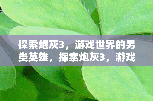 探索炮灰3,游戏世界的另类英雄,探索炮灰3,游戏世界的另类英雄 探索炮灰3,游戏世界的另类英雄,探索炮灰3,游戏世界的另类英雄
