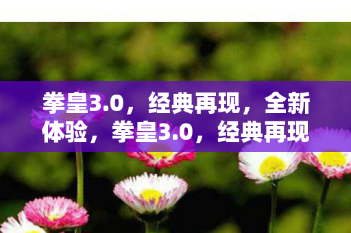 拳皇3.0,经典再现,全新体验,拳皇3.0,经典再现,全新体验来袭 拳皇3.0,经典再现,全新体验,拳皇3.0,经典再现,全新体验来袭