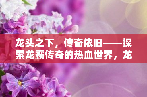 探索龙霸传奇的热血世界图片