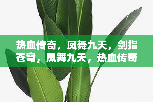 热血传奇图片