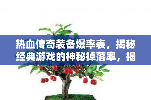 揭秘热血传奇装备神秘掉落率图片