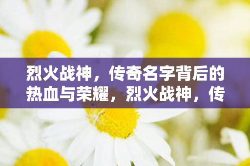 传奇名字背后的热血与荣耀图片