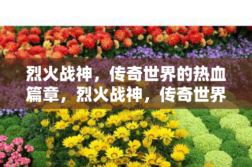 传奇世界的热血篇章图片