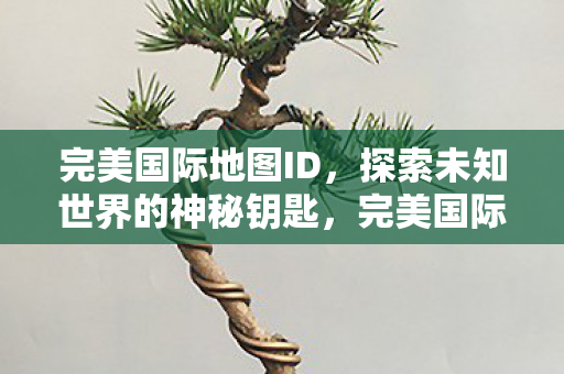 完美国际地图ID,探索未知世界的神秘钥匙,完美国际地图ID,解锁未知世界的神秘钥匙 完美国际地图ID,探索未知世界的神秘钥匙,完美国际地图ID,解锁未知世界的神秘钥匙