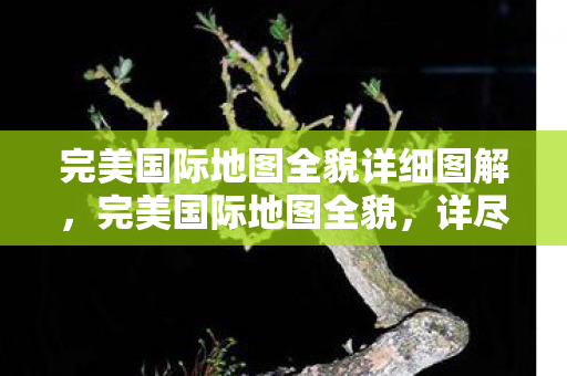 完美国际地图全貌详细图解图片